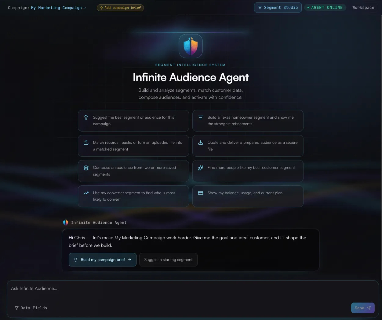 Infinite Audience Agent showing starter workflows for segment planning, customer matching, audience composition, activation, and account visibility